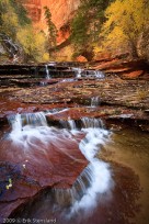 left fork, subway, zion, autumn, stream, 